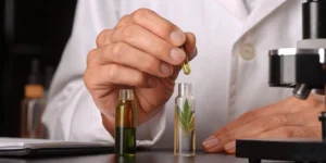 New dietary ingredient notification process: Scientist analyzes samples.