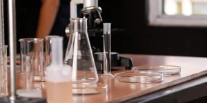 Microscope and lab glassware used to prepare a biological evaluation report.