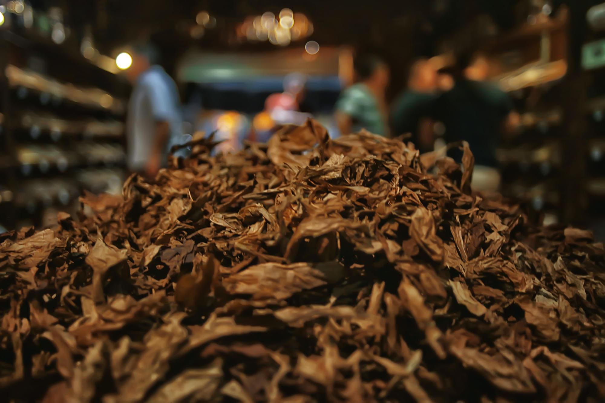 A large pile of dried, shredded tobacco leaves.